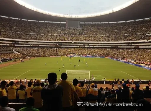 2026世界杯夺冠热门球队数据对比：资深分析师推荐方案汇总